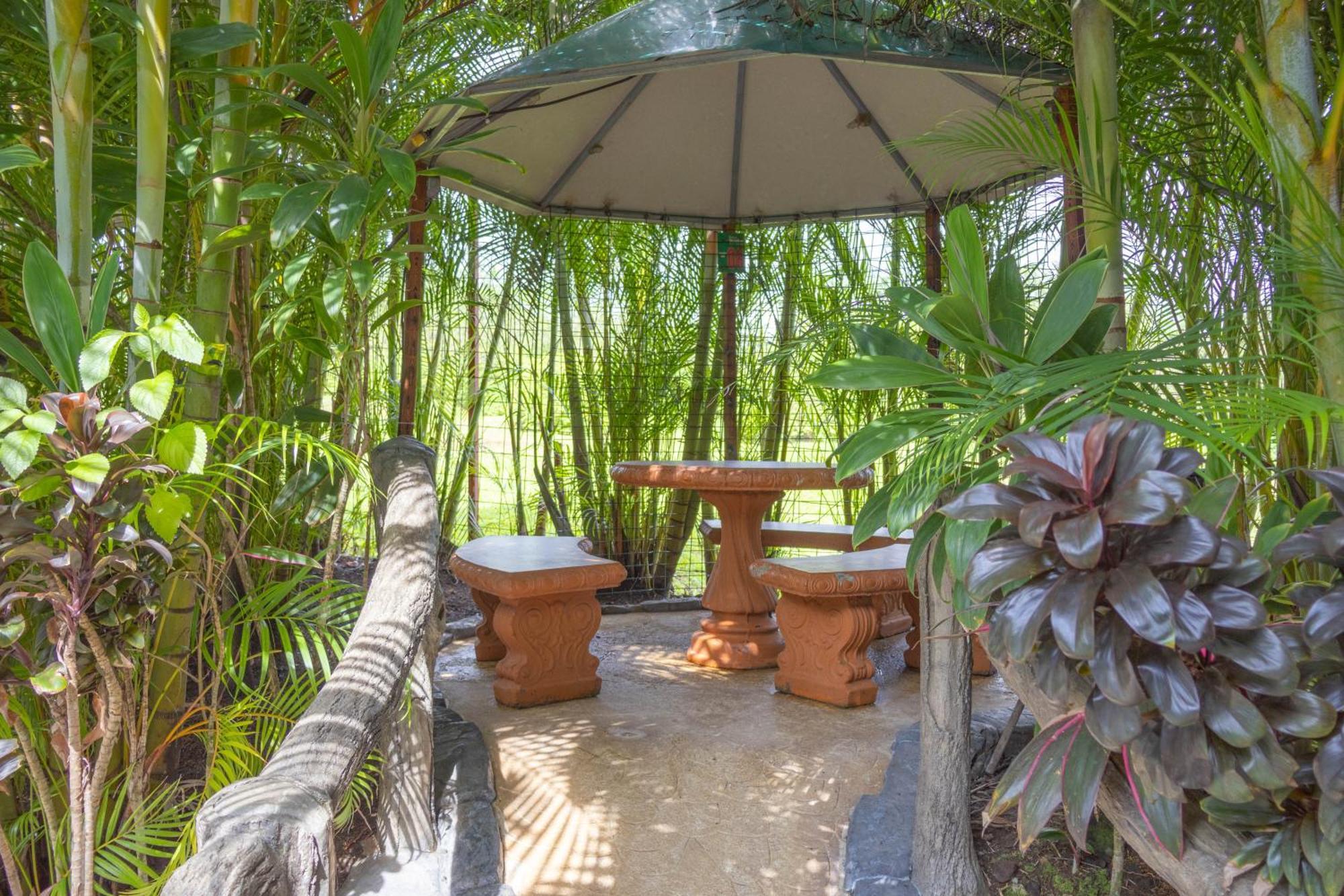 Relax Termalitas Hot Springs Hotel La Fortuna Bagian luar foto